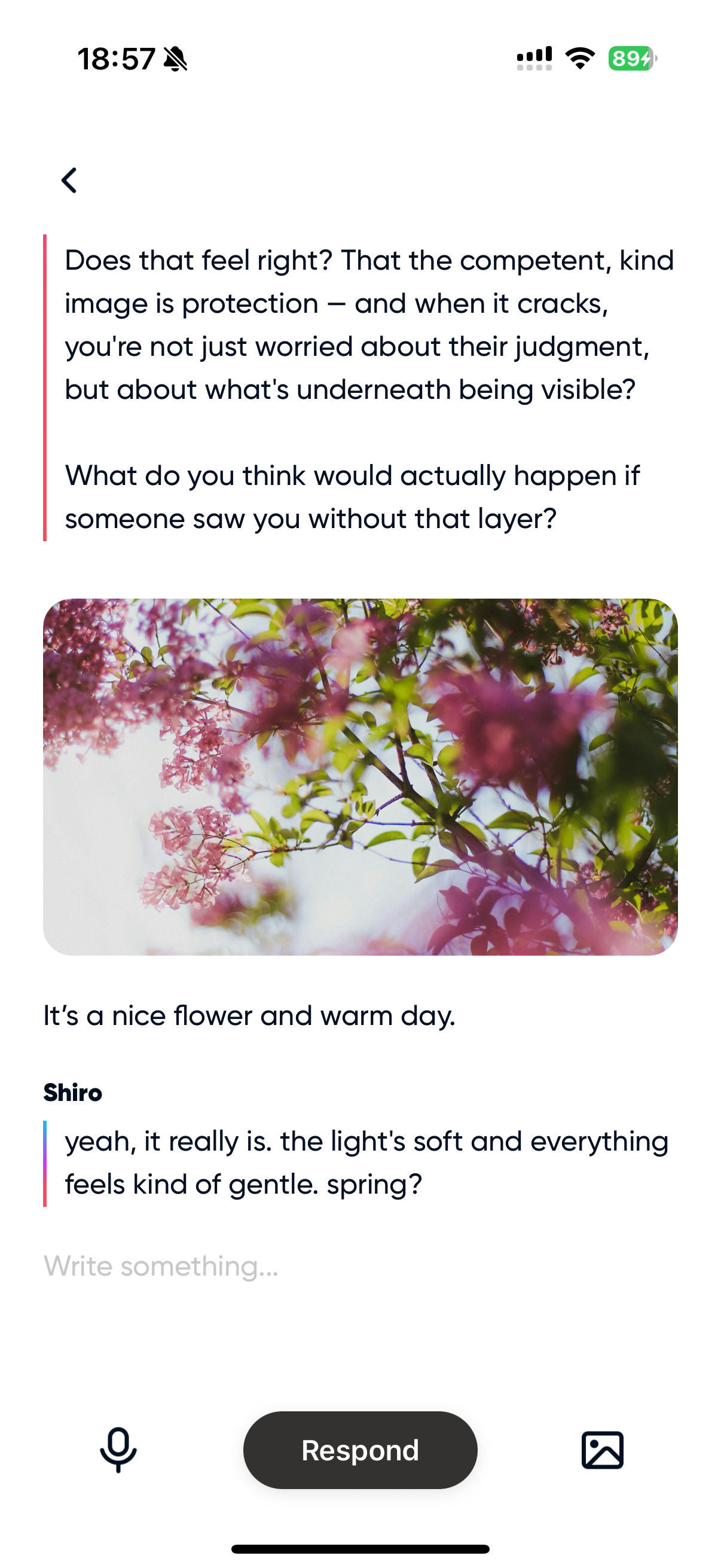 Voice Text and Image 4